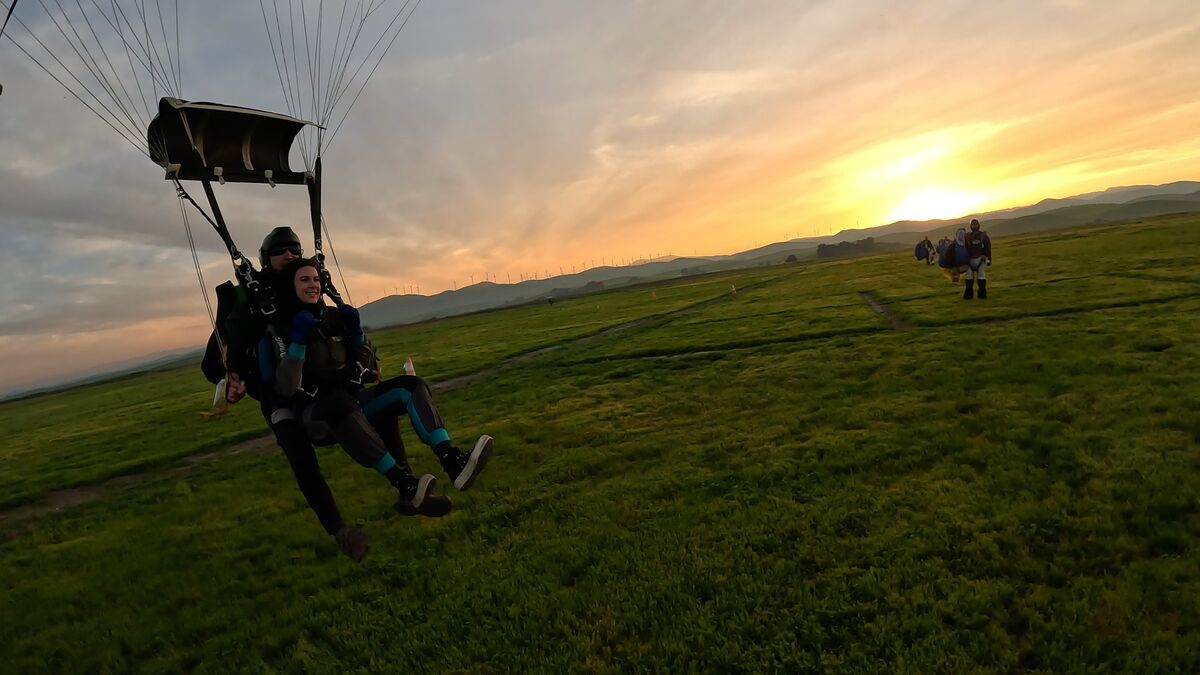 Cinematic canopy flight at sunset